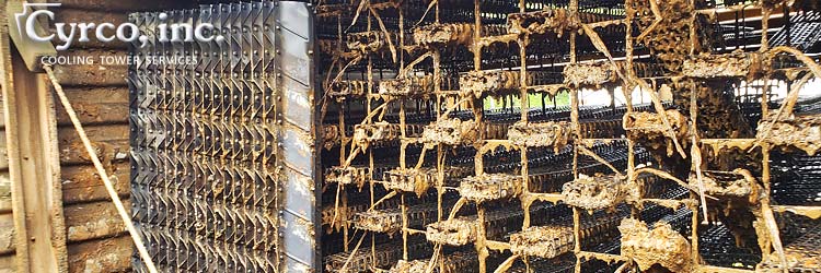 Particulates Caked and Clogging Splash Fill Heat Transfer Media and Drift Eliminators in a Filed Erected Cooling Tower.