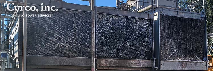 Three Metal Factory Assembled Cooling Towers with Drift Eliminators and Heat Transfer Fill Media Clogged with Dust, Dirt, and Clogging Manufacturing Particulates. All Three Cooling Tower Units are in Need of Cleaning and Disinfecting.